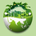 Ecosia, il motore di ricerca per chi è attento all’ambiente