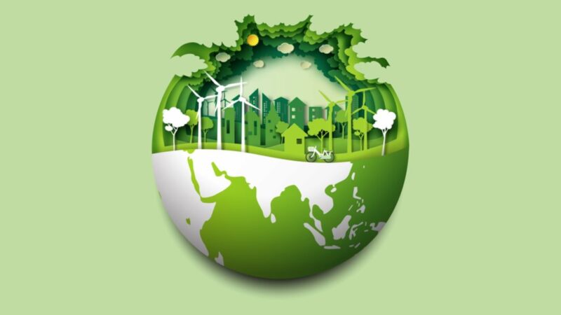 Ecosia ambiente