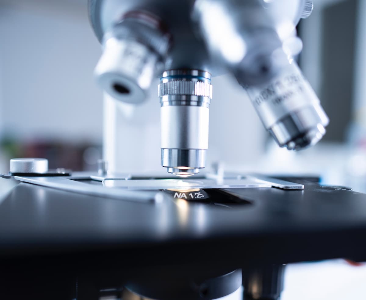 embrioni umani in laboratorio