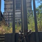 L'aquila case abbandonate post sisma